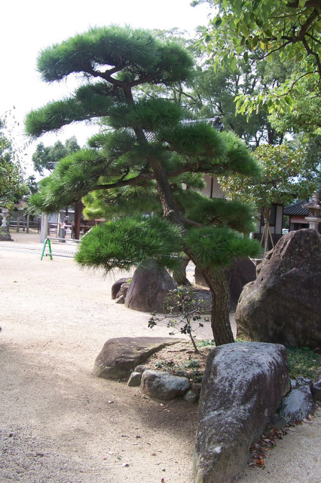 Motoyama-ji and an encounter...