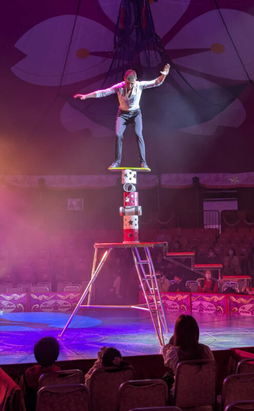 Sakura Circus December 2024 16