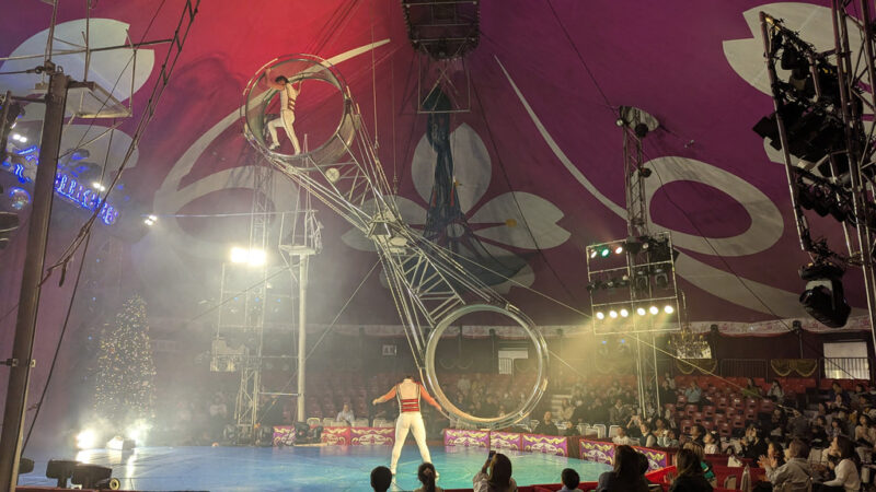 Sakura Circus December 2024 7